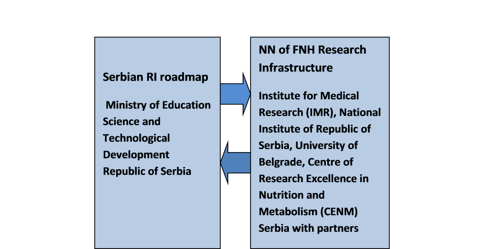 Governance SRB Node.png