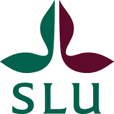 Logo SLU.png