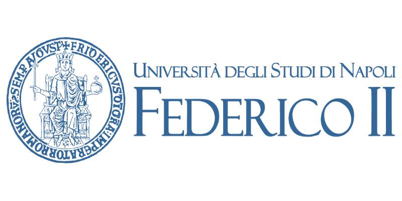 University of Naples Federico II (UNINA)